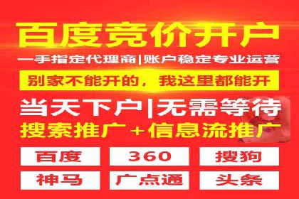 跨行业SEM广告投放的多样化案例分析